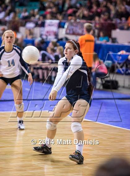 Thumbnail 2 in Montrose vs. Valor Christian (CHSAA 4A Playoff) photogallery.