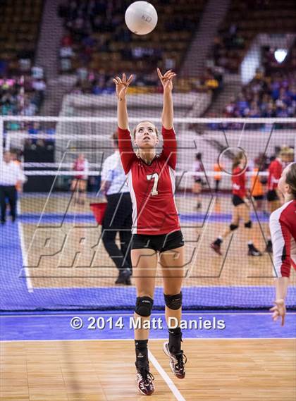 Thumbnail 1 in Montrose vs. Valor Christian (CHSAA 4A Playoff) photogallery.