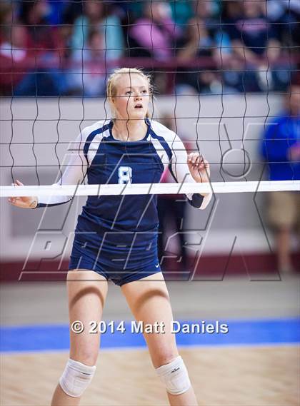 Thumbnail 3 in Montrose vs. Valor Christian (CHSAA 4A Playoff) photogallery.