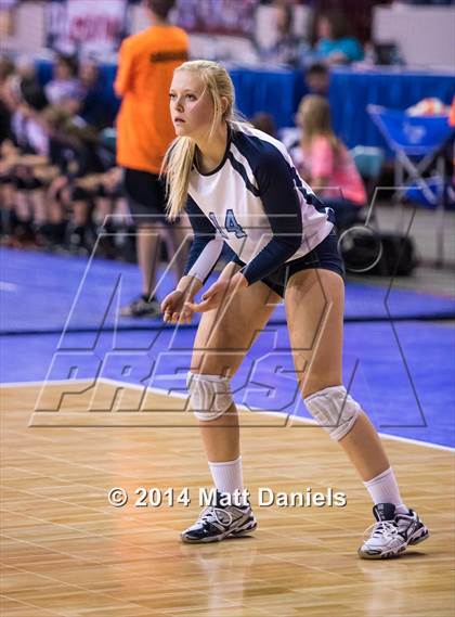 Thumbnail 2 in Montrose vs. Valor Christian (CHSAA 4A Playoff) photogallery.