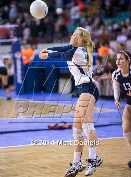 Thumbnail 1 in Montrose vs. Valor Christian (CHSAA 4A Playoff) photogallery.