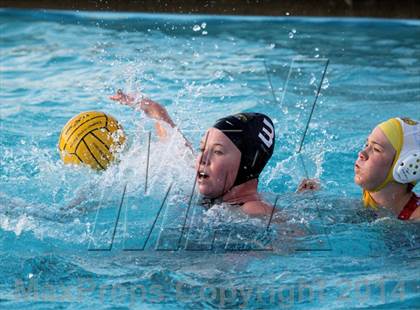 Thumbnail 1 in San Pasqual @ El Camino photogallery.