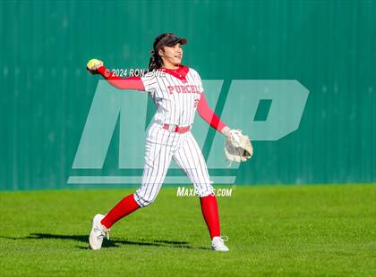 Thumbnail 1 in Purcell @ Mustang photogallery.