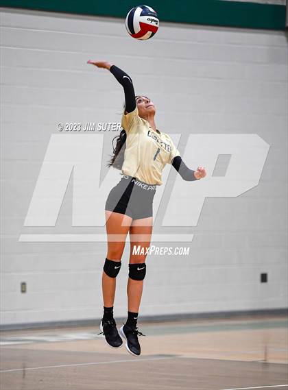 Thumbnail 1 in D'Hanis vs Round Top-Carmine (UIL 1A Region IV Semifinal) photogallery.