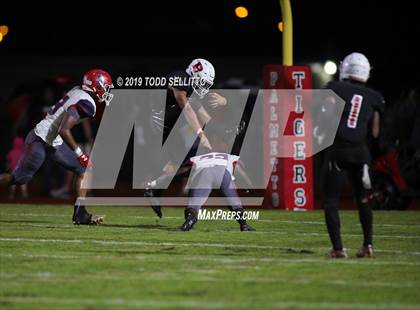 Thumbnail 3 in Manatee @ Palmetto photogallery.