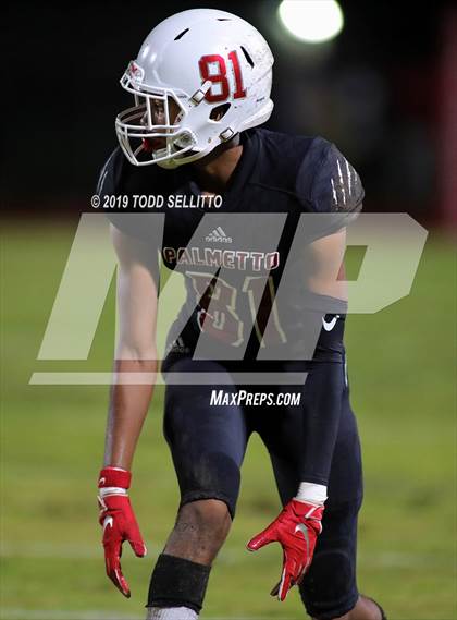 Thumbnail 2 in Manatee @ Palmetto photogallery.