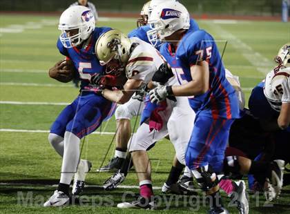 Thumbnail 2 in Rouse @ Leander photogallery.