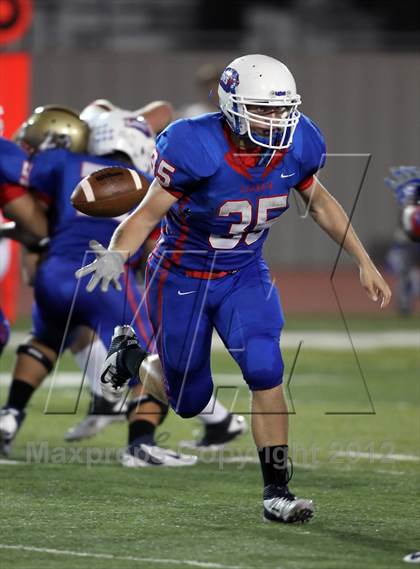 Thumbnail 1 in Rouse @ Leander photogallery.