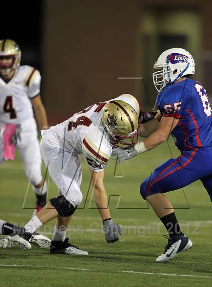 Thumbnail 3 in Rouse @ Leander photogallery.