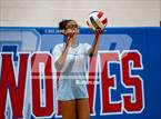 Photo from the gallery "Potomac Senior @ Gar-Field"