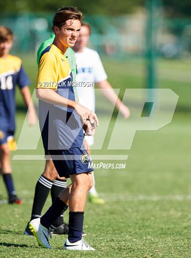 null - Photo 01