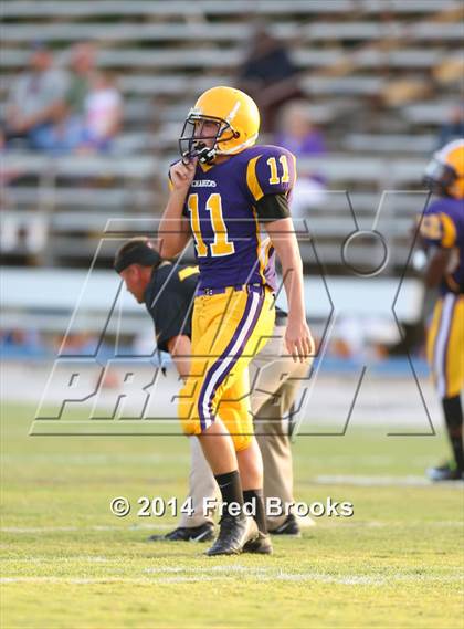 Thumbnail 3 in Munford @ Covington photogallery.