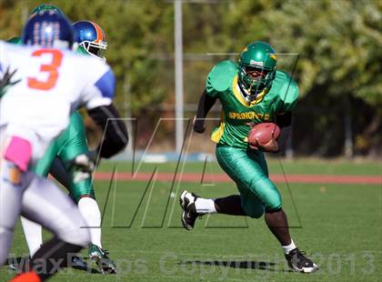 Thumbnail 1 in Bayside @ Springfield Gardens photogallery.