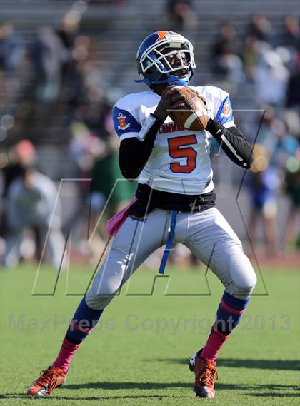 Thumbnail 1 in Bayside @ Springfield Gardens photogallery.