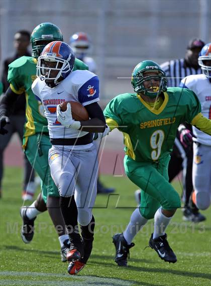 Thumbnail 3 in Bayside @ Springfield Gardens photogallery.