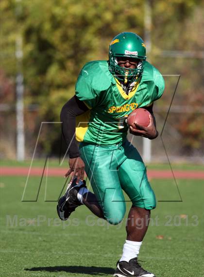 Thumbnail 2 in Bayside @ Springfield Gardens photogallery.