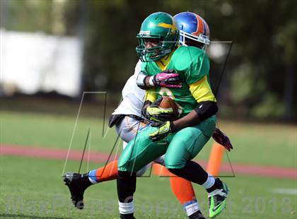 Thumbnail 2 in Bayside @ Springfield Gardens photogallery.