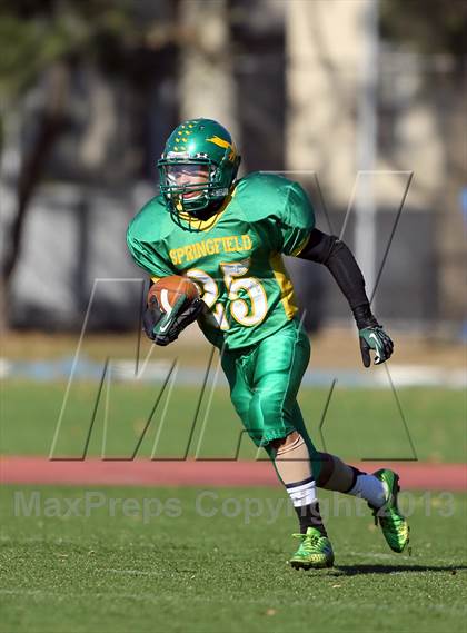 Thumbnail 2 in Bayside @ Springfield Gardens photogallery.