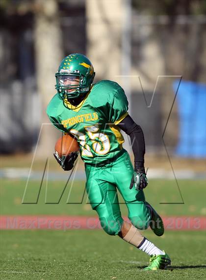 Thumbnail 1 in Bayside @ Springfield Gardens photogallery.