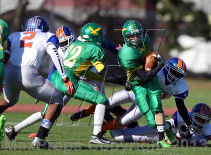 Thumbnail 1 in Bayside @ Springfield Gardens photogallery.