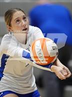 Photo from the gallery "St. John's @ Bishop O'Connell"