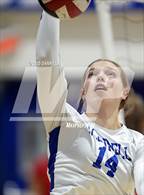 Photo from the gallery "St. John's @ Bishop O'Connell"