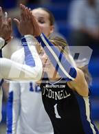 Photo from the gallery "St. John's @ Bishop O'Connell"