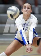 Photo from the gallery "St. John's @ Bishop O'Connell"