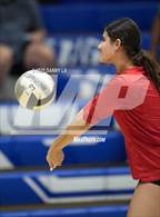 Photo from the gallery "St. John's @ Bishop O'Connell"