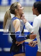 Photo from the gallery "St. John's @ Bishop O'Connell"