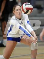 Photo from the gallery "St. John's @ Bishop O'Connell"