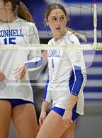 Photo from the gallery "St. John's @ Bishop O'Connell"