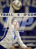 Photo from the gallery "St. John's @ Bishop O'Connell"