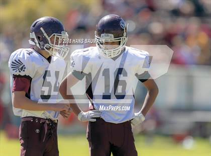 Thumbnail 1 in Elko @ Truckee photogallery.