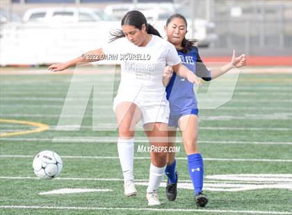 Thumbnail 2 in Verrado vs. Chandler (Coyote Classic Soccer Tournament) photogallery.