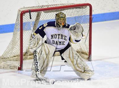 Thumbnail 1 in East Haven vs. Notre Dame Catholic (CIAC DI Quarterfinal) photogallery.