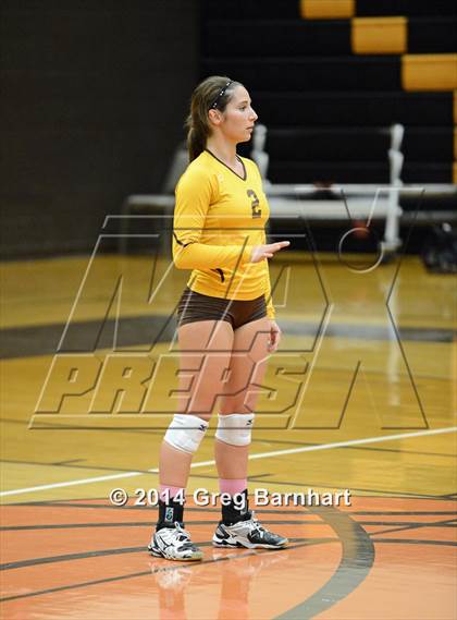Thumbnail 3 in Rio Linda @ Yuba City photogallery.