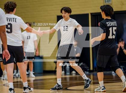 Thumbnail 1 in Mater Dei @ Servite photogallery.