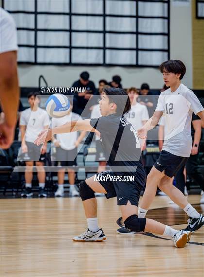 Thumbnail 1 in Mater Dei @ Servite photogallery.