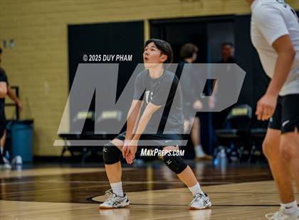 Thumbnail 1 in Mater Dei @ Servite photogallery.