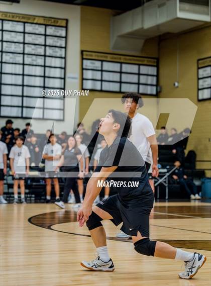 Thumbnail 1 in Mater Dei @ Servite photogallery.