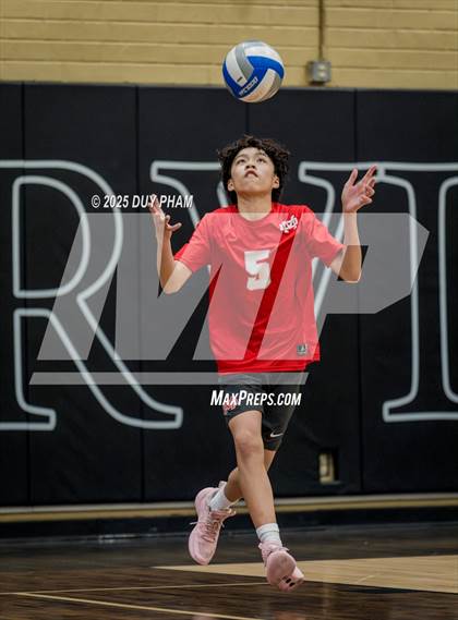 Thumbnail 3 in Mater Dei @ Servite photogallery.