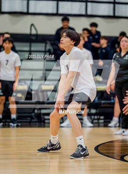 Thumbnail 3 in Mater Dei @ Servite photogallery.