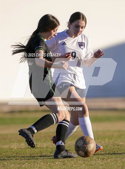 Thumbnail 3 in Anthem Prep @ Phoenix Christian photogallery.