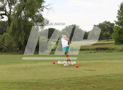 Thumbnail 2 in UIL 3A Golf Finals photogallery.