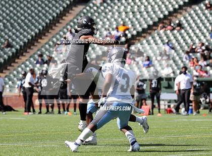 Thumbnail 3 in Seguin @ Wyatt photogallery.
