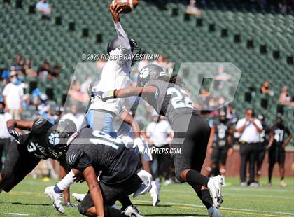 Thumbnail 1 in Seguin @ Wyatt photogallery.