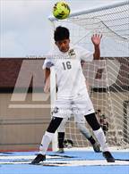 Photo from the gallery "Palmer @ Vista Ridge"