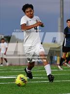 Photo from the gallery "Palmer @ Vista Ridge"