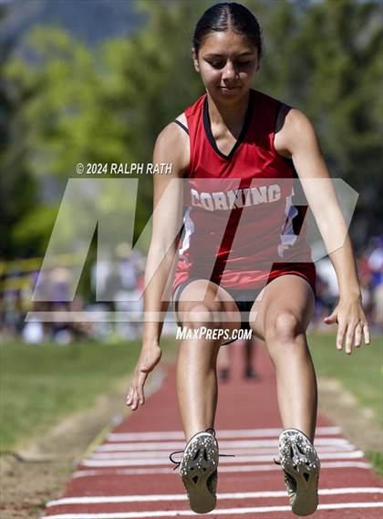 Thumbnail 1 in CIF NS Division 2 Finals (Triple Jump) photogallery.